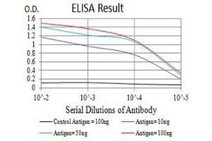Black line: Control Antigen (100 ng),Purple line: Antigen (10 ng), Blue line: Antigen (50 ng), Red line:Antigen (100 ng) (AQP2 antibody  (AA 149-271))