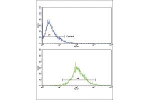 Flow Cytometry (FACS) image for anti-Tyrosinase-Related Protein 1 (TYRP1) antibody (ABIN3003171) (Tyrosinase-Related Protein 1 antibody)