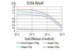 Black line: Control Antigen (100 ng),Purple line: Antigen (10 ng), Blue line: Antigen (50 ng), Red line:Antigen (100 ng) (DDR1 antibody  (AA 21-176))