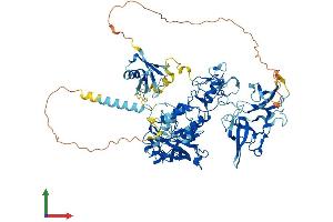 AlphaFold protein structure predicition of Human Recombinant UHRF1 Protein, UniprotID Q96T88