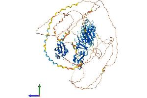 AlphaFold protein structure predicition of Mouse Recombinant Rbm12 Protein, UniprotID Q8R4X3 (RBM12 Protein (AA 1-992) (His tag))