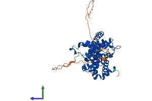 AlphaFold protein structure predicition of Mouse Recombinant Ccnb2 Protein, UniprotID P30276 (Cyclin B2 Protein (CCNB2) (AA 1-398) (His tag))