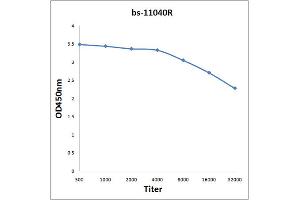 Antigen: 2 µg/100 µL  Primary: Antiserum, 1:500, 1:1000, 1:2000, 1:4000, 1:8000, 1:16000, 1:32000;  Secondary: HRP conjugated Rabbit Anti-Goat IgG at 1: 5000;  TMB staining Read the data in Microplate Reader by 450nm. (Bestrophin antibody)