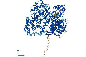 AlphaFold protein structure predicition of Mouse Recombinant Gnpat Protein, UniprotID P98192