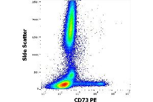 Flow cytometry surface staining pattern of human peripheral whole blood stained using anti-human CD73 (AD2) PE antibody (10 μL reagent / 100 μL of peripheral whole blood).