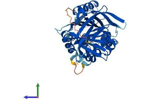 AlphaFold protein structure predicition of Mouse Recombinant Serpinb6 Protein, UniprotID Q60854 (SERPINB6 Protein (AA 1-378) (His tag))