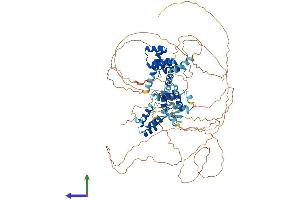 AlphaFold protein structure predicition of Human Recombinant ZHX2 Protein, UniprotID Q9Y6X8