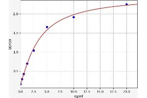 Typical standard curve (CDK8 ELISA Kit)