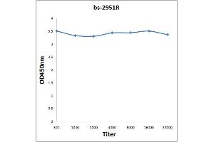 0. (SQSTM1 antibody  (AA 51-150))