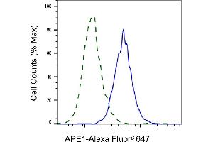 Validation of APE1 knockdown using flow cytometry.