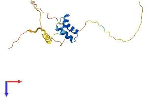 AlphaFold protein structure predicition of Human Recombinant MZT2B Protein, UniprotID Q6NZ67 (MZT2B Protein (AA 1-158) (His tag))
