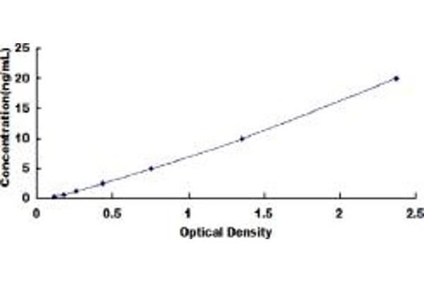 NCOA3 ELISA Kit