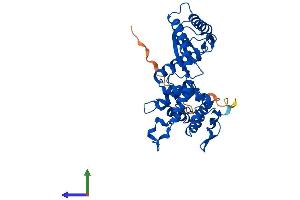 AlphaFold protein structure predicition of Mouse Recombinant Ilf2 Protein, UniprotID Q9CXY6