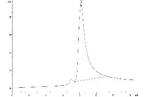 The purity of Mouse FAP is greater than 95 % as determined by SEC-HPLC. (FAP Protein (AA 26-761) (His tag))