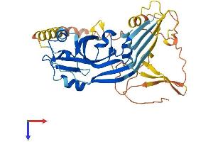 Pejvakin Protein (AA 1-352) (His tag)