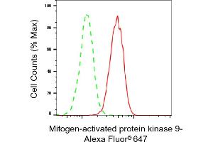 Flow cytometric analysis of Mitogen-activated protein kinase 9 expression in HeLa cells using Mitogen-activated protein kinase 9 antibody (ABIN7799458), 1:2,000).