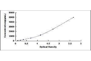 Typical standard curve (Retinoid X Receptor alpha ELISA Kit)