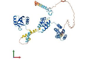 AlphaFold protein structure predicition of Mouse Recombinant Pnma3 Protein, UniprotID Q8JZW8 (PNMA3 Protein (AA 1-466) (His tag))
