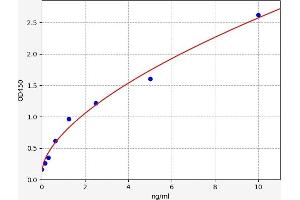 N-Cadherin ELISA Kit