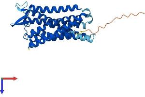 Protein Structure (PS) image for Free Fatty Acid Receptor 1 (FFAR1) (AA 1-300) protein (His tag) (ABIN7558165)