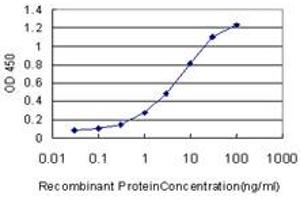 Detection limit for recombinant GST tagged BSCL2 is approximately 0. (BSCL2 antibody  (AA 259-357))