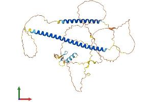 Protein Structure (PS) image for TRAF Family Member-Associated NFKB Activator (TANK) (AA 1-448) protein (His tag) (ABIN7556703)