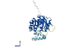 AlphaFold protein structure predicition of Mouse Recombinant Camkmt Protein, UniprotID Q3U2J5