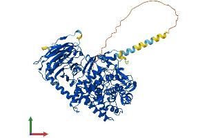 AlphaFold protein structure predicition of Human Recombinant MOGS Protein, UniprotID Q13724 (GCS1 Protein (AA 1-837) (His tag))