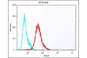 Overlay histogram showing A431 cells stained with (ABIN1881635 and ABIN2838408) (red line). (PBK antibody  (N-Term))