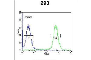 Flow cytometric analysis of 293 cells (right histogram) compared to a negative control cell (left histogram). (CSGALNACT2 antibody  (AA 200-229))