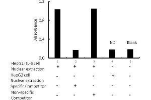 Transcription factor assay of HNF-1-alpha from nuclear extracts of HepG2 cells or HepG2 cells treated with IL-6 with the specific competitor or non-specific competitor. (HNF1A ELISA Kit)