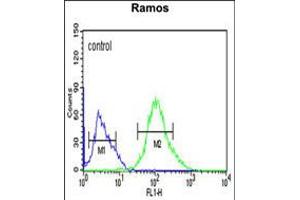 Flow cytometric analysis of Ramos cells (right histogram) compared to a negative control cell (left histogram). (FCRL4 antibody  (C-Term))