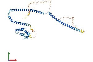 AlphaFold protein structure predicition of Mouse Recombinant Cluap1 Protein, UniprotID Q8R3P7 (CLUAP1 Protein (AA 1-413) (His tag))