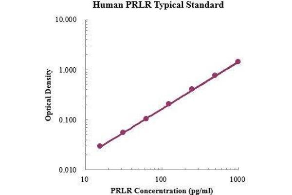 DHX58 ELISA Kit