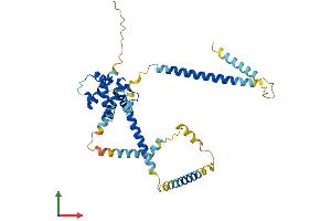 Protein Structure (PS) image for HAUS Augmin-Like Complex, Subunit 7 (HAUS7) (AA 1-364) protein (His tag) (ABIN7558728)
