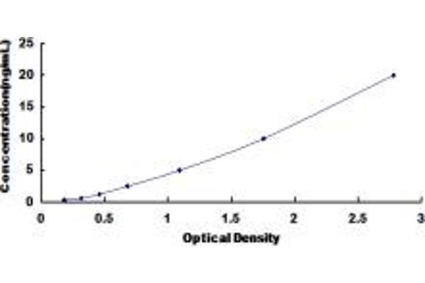 MT2 ELISA Kit