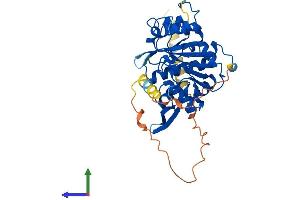 AlphaFold protein structure predicition of Mouse Recombinant Lfng Protein, UniprotID O09010