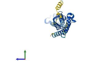AlphaFold protein structure predicition of Human Recombinant CLRN1 Protein, UniprotID P58418 (Clarin 1 Protein (CLRN1) (AA 1-232) (His tag))