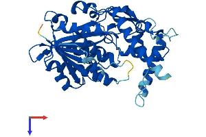 AlphaFold protein structure predicition of Mouse Recombinant Hsd3b5 Protein, UniprotID Q61694 (HSD3B5 Protein (AA 1-373) (His tag))