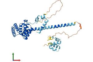AlphaFold protein structure predicition of Human Recombinant ST13P5 Protein, UniprotID Q8NFI4 (FAM10A5 Protein (AA 1-369) (His tag))