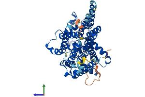 AlphaFold protein structure predicition of Human Recombinant PIGV Protein, UniprotID Q9NUD9 (PIGV Protein (AA 1-493) (His tag))