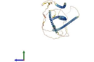 AlphaFold protein structure predicition of Mouse Recombinant Tnip1 Protein, UniprotID Q9WUU8 (TNIP1 Protein (AA 1-647) (His tag))