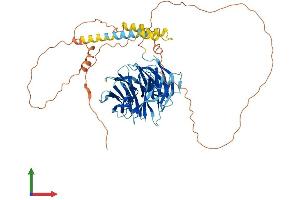 Protein Structure (PS) image for Transducin-Like Enhancer of Split 6 (TLE6) (AA 1-572) protein (His tag) (ABIN7544410)