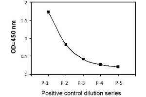 HeLa cells were treated with Nocodazole at 37°C for 20 hours. (Cyclin B1 ELISA Kit)