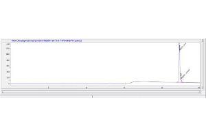 Image no. 1 for Parathyroid Hormone (PTH) peptide (Ovalbumin) (ABIN5666322) (Parathyroid Hormone (PTH) peptide (Ovalbumin))