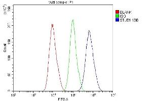 anti-STIP1 Homology and U-Box Containing Protein 1 (STUB1) (AA 51-303) antibody