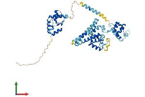 AlphaFold protein structure predicition of Mouse Recombinant Bfar Protein, UniprotID Q8R079