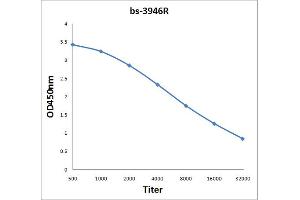 Antigen: 2 µg/100 µL  Primary: Antiserum, 1:500, 1:1000, 1:2000, 1:4000, 1:8000, 1:16000, 1:32000;  Secondary: HRP conjugated Rabbit Anti-Goat IgG at 1: 5000;  TMB staining Read the data in Microplate Reader by 450nm. (IDH3A antibody  (AA 281-366))