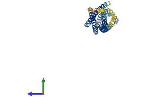 AlphaFold protein structure predicition of Human Recombinant STX1A Protein, UniprotID Q16623 (STX1A Protein (AA 1-288) (His tag))