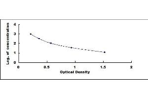 Typical standard curve (Cholecystokinin ELISA Kit)